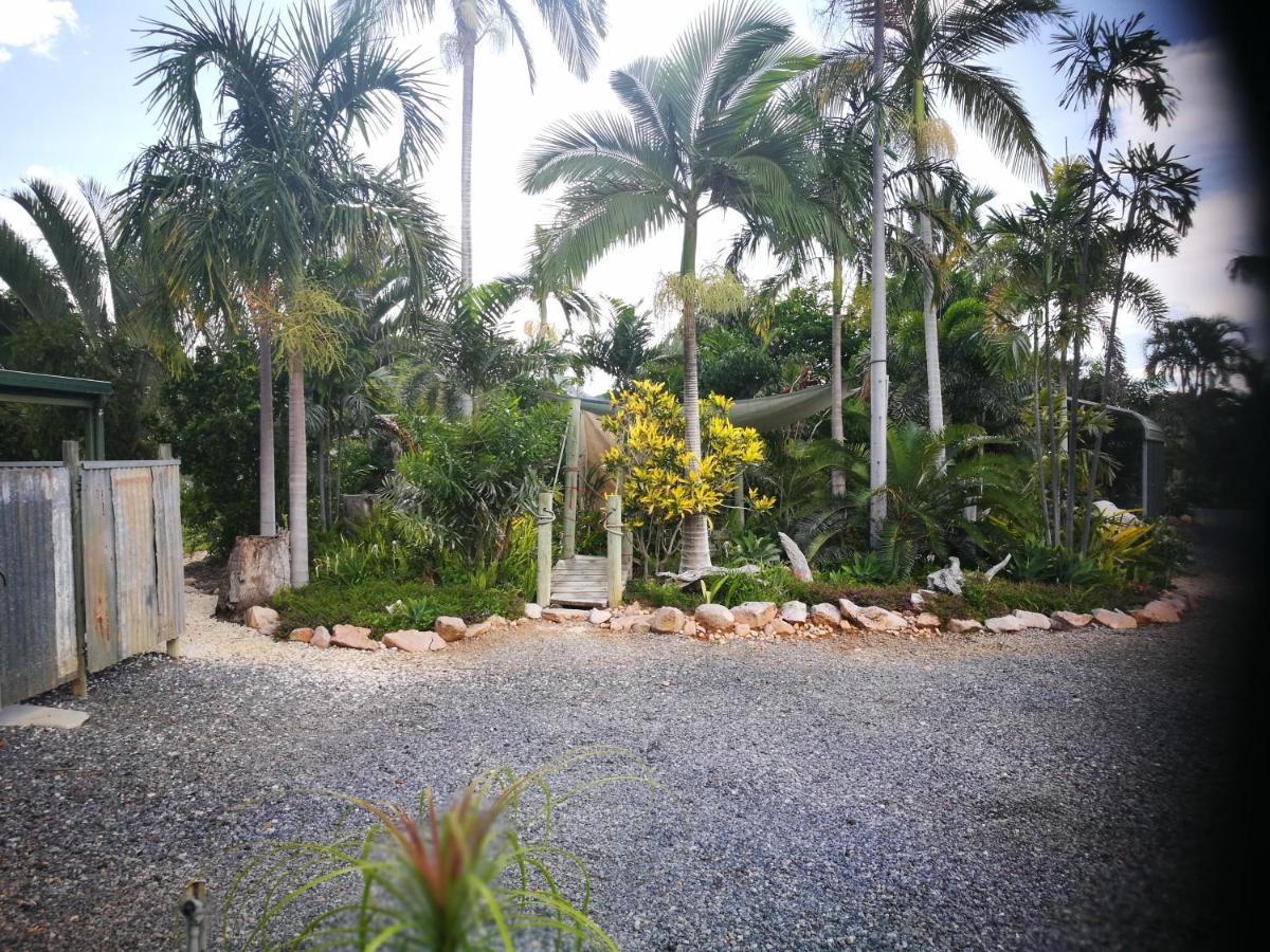 Chillagoe Cabins And Tours Екстериор снимка